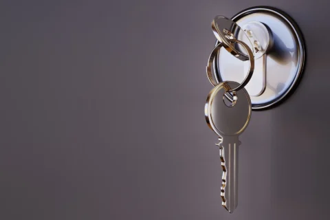 Professional Locksmiths